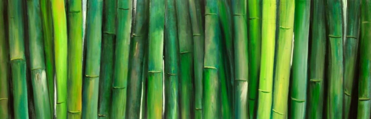 Green Bamboo Poster Print by Atelier B Art Studio - Item # VARPDXBEGLAN97